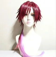 にじさんじ ローレン コスプレ衣装 ウィッグ - メルカリ