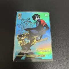 2026年最新】ヴァイス サイン カードの人気アイテム - メルカリ