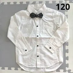 白シャツ　ボタンダウン　蝶ネクタイ　120