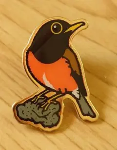 2025年最新】日本野鳥の会 ピンバッチの人気アイテム - メルカリ