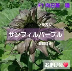しっぽ様 リクエスト 2点 まとめ商品
