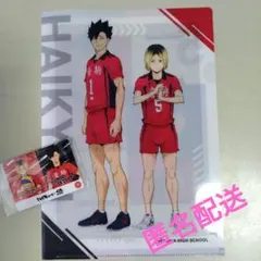 ハイキュー くら寿司 音駒 クリアファイル ＆ カード
