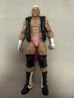 WWE フィギュア dolph ziggle elite19 mattel