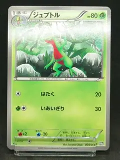 ジュプトル 004/051
