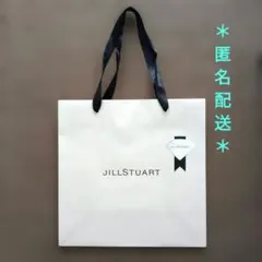 JILLSTUART ショップ袋⭐約25cm四方 マチ11cm 美品です♥