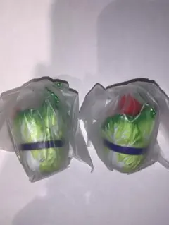 白菜吉祥物　哈囉凱蒂　美樂蒂