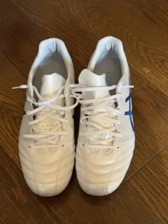 asics アシックス DS LIGHT PRO AG