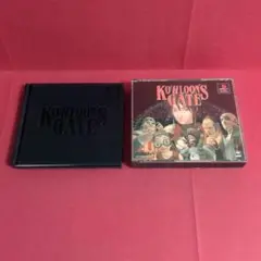 クーロンズゲート ブックレット付き　ps1ソフト