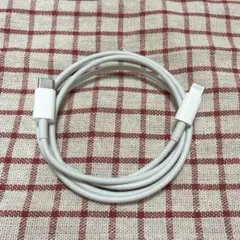 Lightningケーブル 約1メートル ホワイト