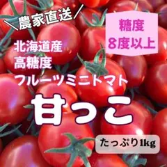 北海道産 高糖度フルーツミニトマト 甘っこ 1kgのサムネイル
