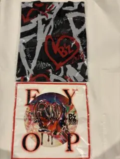 Item thumbnail for item 10d42caa-b4be-4c42-b1a6-804547cae223