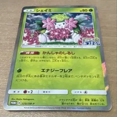 2026年最新】ポケモンの家あつまる？の人気アイテム - メルカリ