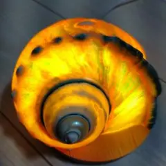 沖縄小浜島さん夜光貝ランプ 夜光貝ランプ ｜ふるラボ