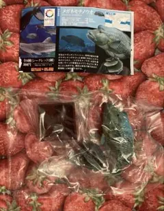 未開封 ネイチャーテクニカラー 海洋I メガネモチノウオ フィギュア 2のサムネイル