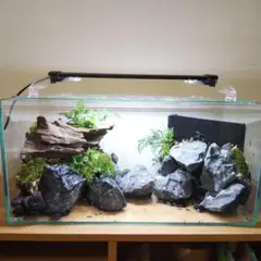 爬虫類ケージ　60×40×40 メッシュ　アクリル扉　カメレオン　ケージ　ペット 爬虫類ケージ 60×40×40 メッシュ アクリル扉 カメレオン ケージ ペット