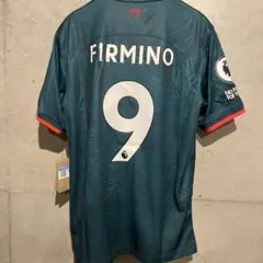 Item thumbnail for item 2e73c042-30e8-4642-8d8d-489e3c56ce1f