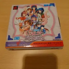 2025年最新】ネオジオポケット ギャルズファイターズの人気