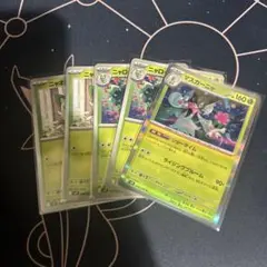 ポケモンカード　マスカーニャ　進化ライン