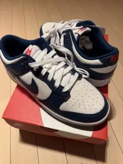 Nike Dunk Low Retro 9.5