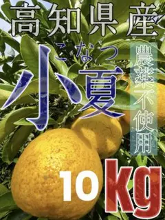 mmmはるか&パール柑20kg mmm様専用はるか&パール柑20kg - メルカリ