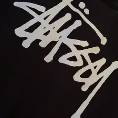 ステューシーパーカー（袋付き）