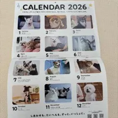 Item thumbnail for item 83dc98c6-8770-4895-b0e2-d0e98629daf3