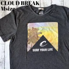 アメリカ古着　Tシャツ サーフ　デザイン　アメカジ　良プリント　USA古着