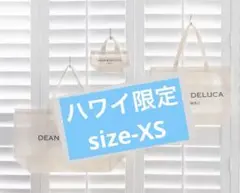 DEAN & DELUCA リッツカールトン限定ミニバッグ