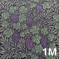 V&A ウィリアムモリス　 バイン　ヴァイン　VINE　花柄　黒系　モリス　1M