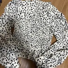 Item thumbnail for item 02c3c399-c49c-45fd-9e0f-c0288ce4497f