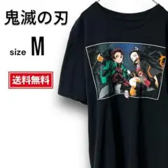 【美品・送料無料】一点限り！ 鬼滅の刃 アニメ Tシャツ ブラック メンズ M