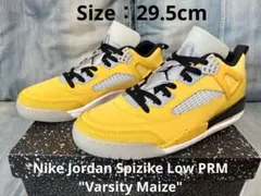 【新品未着用】Nike Jordan Spizike Low PRM