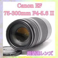2026年最新】Canon LENS EF 75-300mm 1:4-5.6の人気アイテム - メルカリ