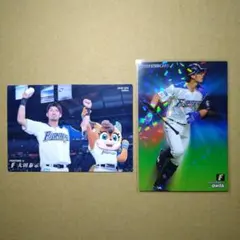 プロ野球チップス2020スターカード 大田泰示選手