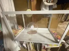 GEX アクリル製 ペットケージ コトリウム460-Ⅱ - メルカリ