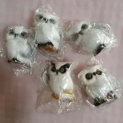 フクロウ　マスコット　置物