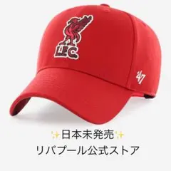 2025年最新】liverpool キャップの人気アイテム - メルカリ