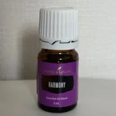 2025年最新】ワイエルハーモニーの人気アイテム - メルカリ