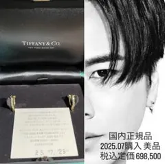登坂広臣着用Tiffanyタイタンピアス - メルカリ