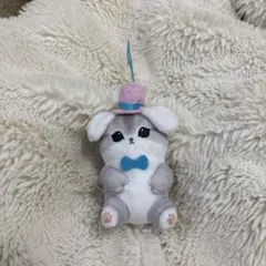mofusand モフサンド × 산리오 キャラクターズ マスコット 시나모롤