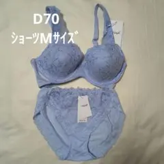 トリンプ　恋するブラ612　D70/M普通　水色