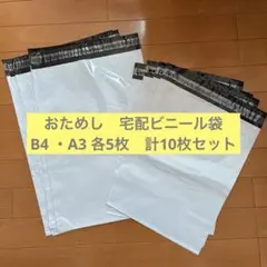 おためし　宅配ビニール袋　B4 ・A3 各5枚　計10枚セット