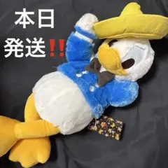 ディズニーストア 三人の騎士 三騎士 ドナルド ぬいぐるみ