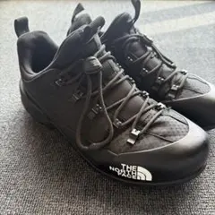 Item thumbnail for item 052951a0-1ac8-4eb9-b433-de2fc4bedf08