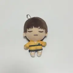 2025年最新】柳蓮二 ぬいぐるみの人気アイテム - メルカリ