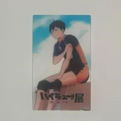 ハイキュー 影山飛雄 ゴミ捨て場の決戦展 入場特典