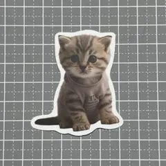 【B340】防水ステッカー 猫 ねこ おめかし Tシャツ 子猫 アメショー