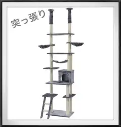 Item thumbnail for item 84f68b5a-0596-465b-973c-b6b9a82daa7c