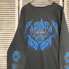 1132 Santa Cruz O'Brien Reaper L/S Tee L - メルカリ
