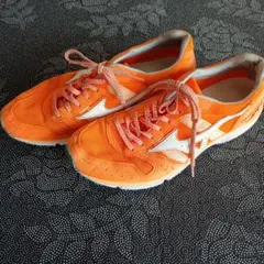 Item thumbnail for item 1801ebc4-bb2e-464e-87dc-18815fc4f4f0